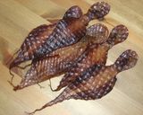 もち米入りたこ飯☆切って混ぜて炊くだけ♪作り方2写真