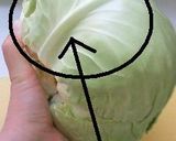 母直伝！必要分だけのキャベツの葉のむき方作り方5写真