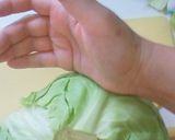 母直伝！必要分だけのキャベツの葉のむき方作り方15写真
