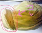 鶏ももともやしのお好み焼き＊低カロリー作り方10写真