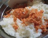 ハートの五色ごはん作り方6写真