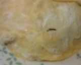 一人ランチに♪もやしオムそば作り方4写真