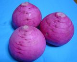 赤カブの甘酢漬け作り方1写真