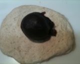 クリームチーズ＆餡子inソフトフランス作り方6写真