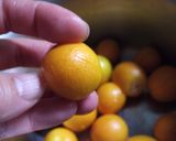 金柑のパルスイート＆蜂蜜煮作り方1写真