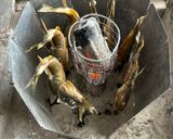 土鍋で炊こう！鮎の釜めし作り方1写真