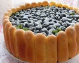 2層ブルーベリーチーズケーキシャルロット作り方15写真