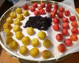 冷蔵庫で梅干し作り(紫蘇入)作り方14写真