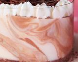 イチゴとチョコのマーブルレアチーズケーキ作り方18写真
