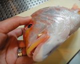 鯛の★姿焼き★塩焼き★お祝♪作り方5写真