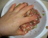 柚しそ餃子とカレー餃子作り方5写真