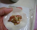 柚しそ餃子とカレー餃子作り方9写真