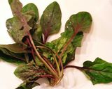ほうれん草とトマトとチーズのサラダ作り方1写真