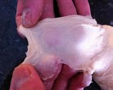 アメリカ　イースト臭を抑えた食パン作り方5写真