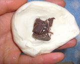 魅惑のメロンパン作り方11写真