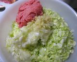 きゃべつ餃子♪作り方2写真