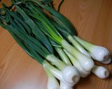 【農家のレシピ】葉玉ねぎと砂肝の甘辛炒め作り方1写真