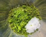 万能すぎてクセになる!爽やか柚子胡椒作り方6写真