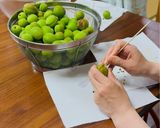 梅シロップ作り方5写真