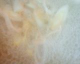 最高においしく出来ました!!豆乳鍋です!作り方4写真