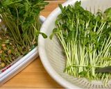 豆苗ベーコンのナンプラー炒め作り方1写真