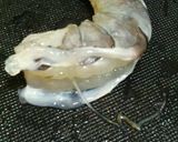 エビ入りのふわふわニラ玉作り方1写真
