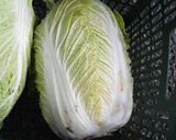 簡単 さば（水煮缶詰）と冬野菜のカレー作り方1写真