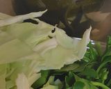 葉っぱのお味噌汁作り方1写真
