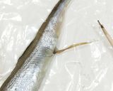 うちの☆ししゃも・小型魚❣下処理は爪楊枝作り方20写真