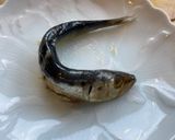 鰯の塩辛（仕込中！）作り方4写真