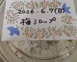 梅仕事2026〜生梅で梅シロップ作り✬作り方7写真