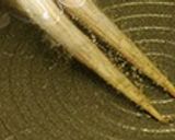 美味しいけれど胃もたれ注意？揚げ食パン！作り方2写真