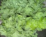 栄養満点　ケールの葉　カリカリ焼き作り方1写真