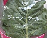 ジューシーケールの回鍋肉。作り方9写真