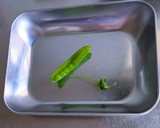 絹さやと豚ロース肉の混ぜごはん作り方1写真