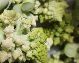 お年寄り絶賛シリーズ☆ロマネスコカレー☆作り方1写真