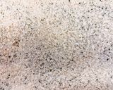 ししゃものオリーブオイル焼き作り方1写真
