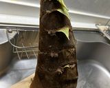 たけのこ　下処理　覚書作り方1写真