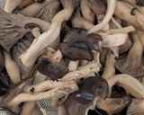 簡単★レンチンしめじのめんつゆ和え作り方4写真