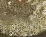 バター香る海老と枝豆出汁のペペロンチーノ作り方8写真