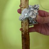 【動画あり】牛蒡チップス〜おつまみやおやつに〜作り方1写真