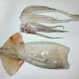 鍋でコトコトいか大根。〜大根やわらか味染み染み〜作り方2写真