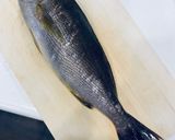 梅雨イサキの出汁茶漬け　イサキの捌き方作り方1写真