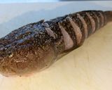 オコボのカリカリ丸焼き〜梨ソース仕立て〜作り方3写真