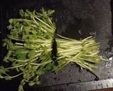 生豆苗のせ竹輪漬物蓮根の金平焼きうどん作り方2写真