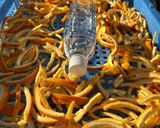 夏みかんの皮パウダー作り方1写真