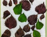 紫蘇の葉香るサクッとジューシー鶏唐揚げ作り方4写真