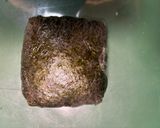 彩り具だくさん!カニたまサラダおにぎらず作り方4写真