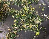 ふきの葉としらすの佃煮作り方4写真