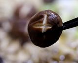 おいしー!ヘルシー!きのこの鍋作り方19写真